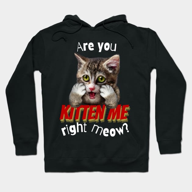 Are You Kitten Me Right Meow Hoodie by leBoosh-Designs